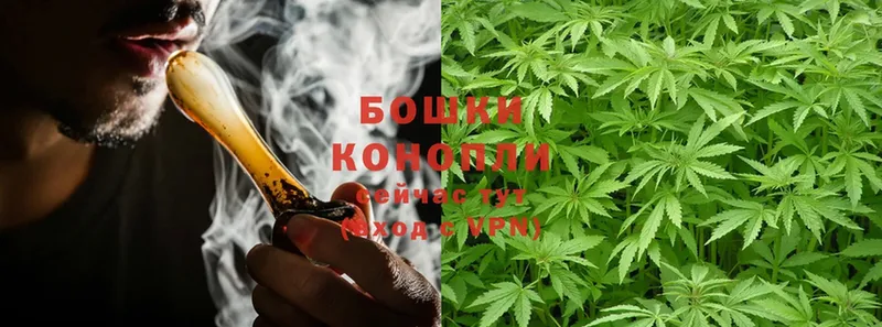 ссылка на мегу маркетплейс  Дагестанские Огни  Конопля OG Kush 